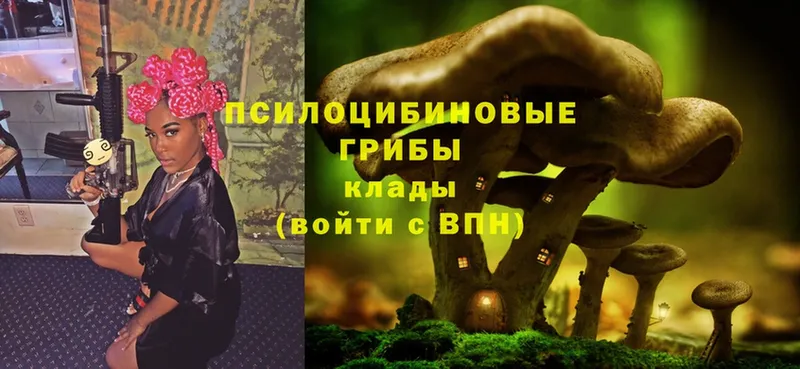 ссылка на мегу ссылка  Лагань  Псилоцибиновые грибы Psilocybe  где можно купить  